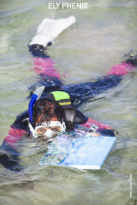 Underwater diving (Cotillo Fuerteventura)