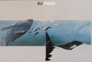 Whale and dolphin