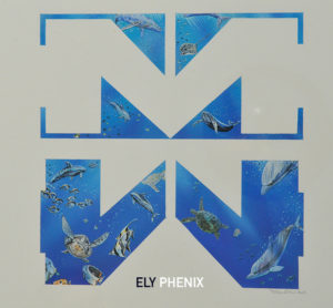 Update Logo shipowner Micoperi