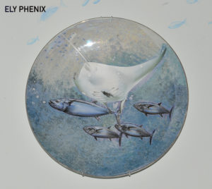 Pelagic life