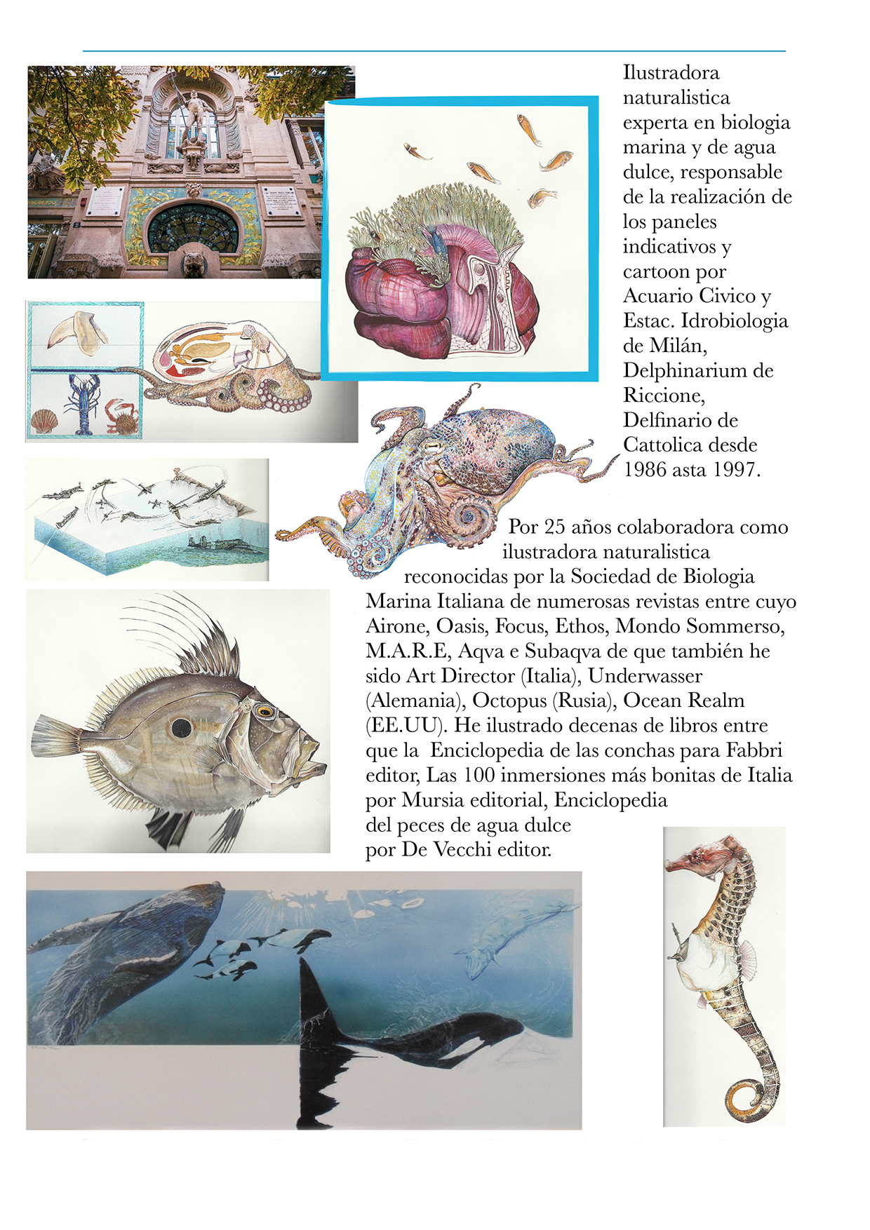 Copia di Espanol CV Mare Arte Ely